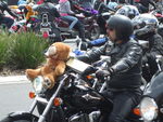 christmas08017.JPG